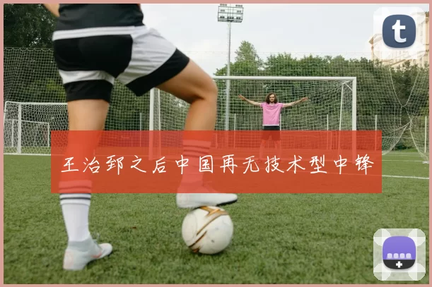 王治郅之后中国再无技术型中锋