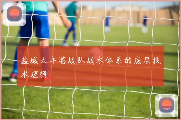 盐城大丰港战队战术体系的底层技术逻辑