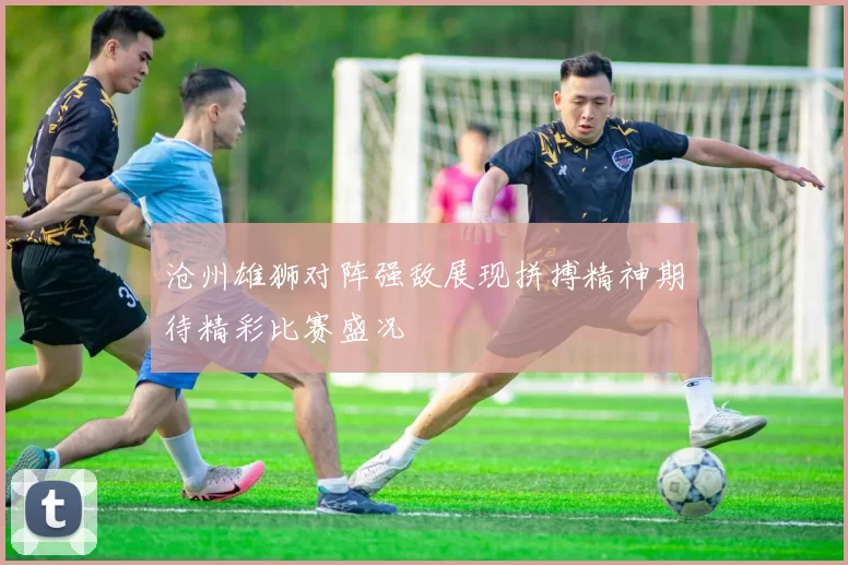沧州雄狮对阵强敌展现拼搏精神期待精彩比赛盛况