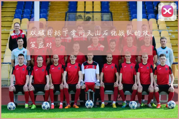 双碳目标下常州天山石化战队的政策应对