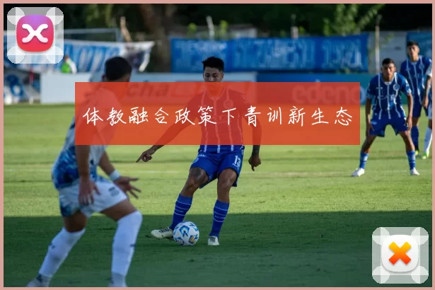 体教融合政策下青训新生态
